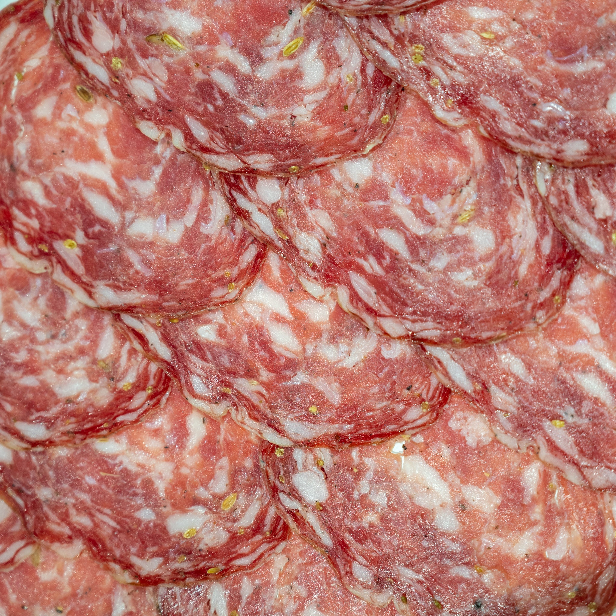 Salami Finocchiona