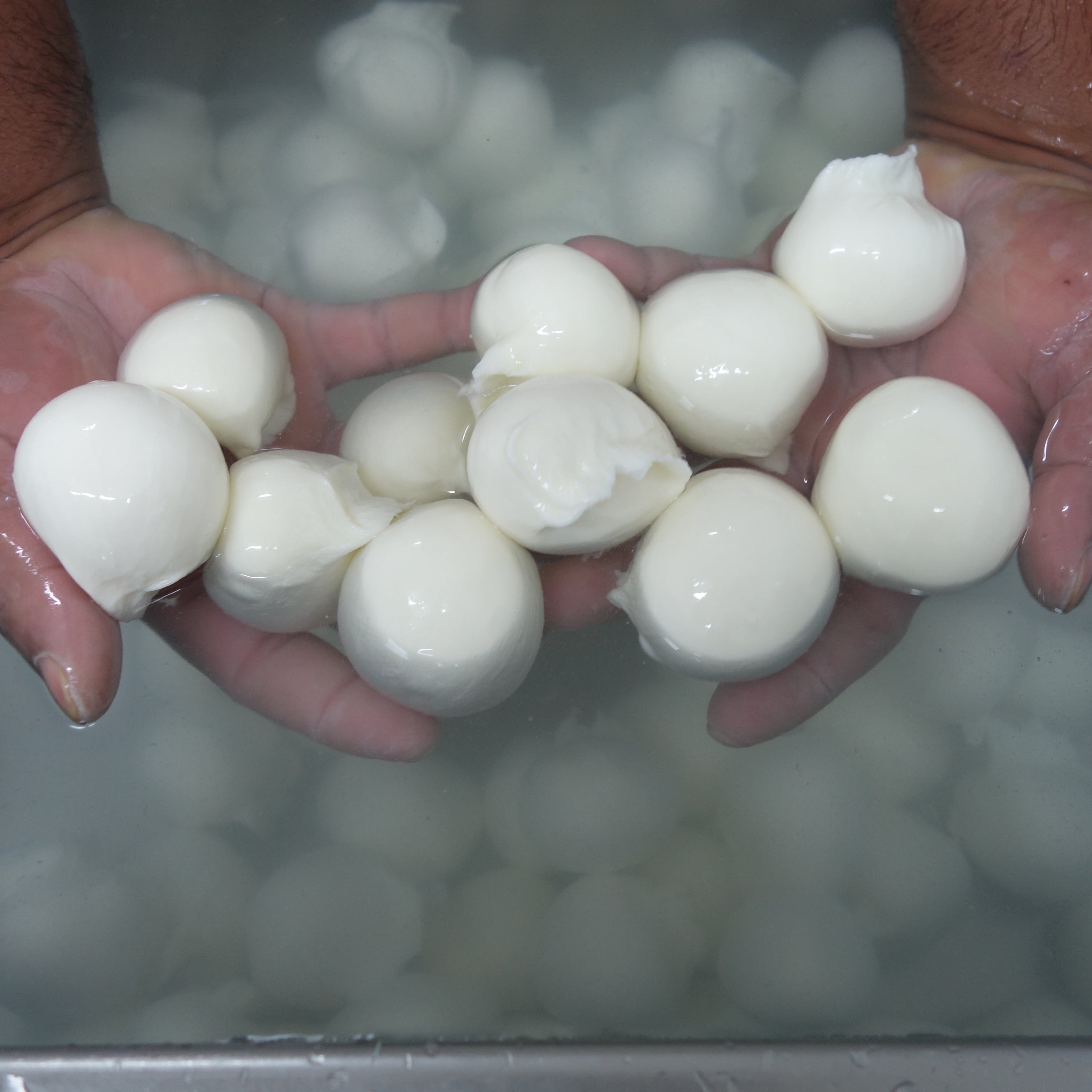 Mozzarella di Bufala