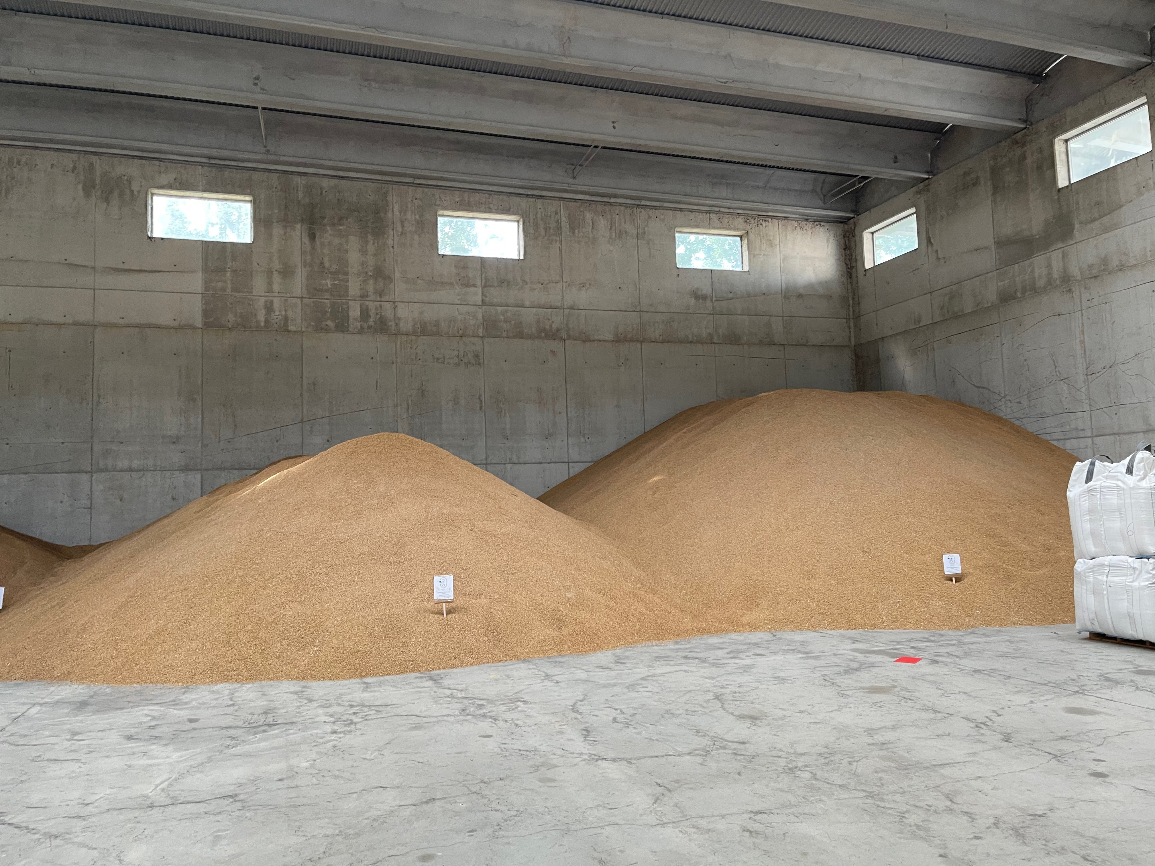 Carnaroli Rice (1kg)