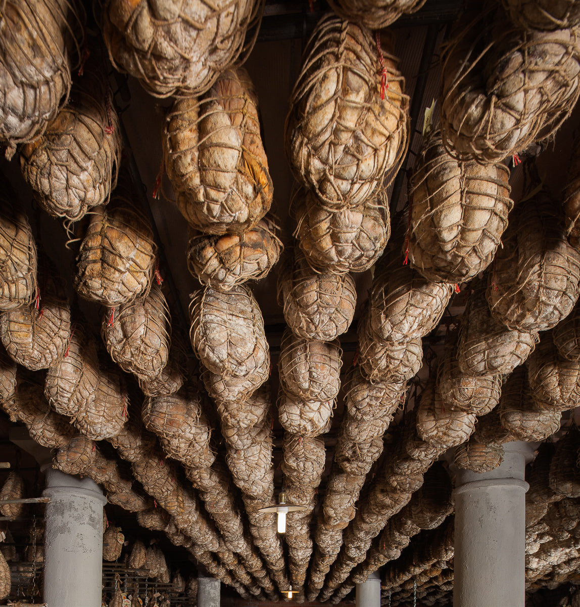 Culatello di Zibello